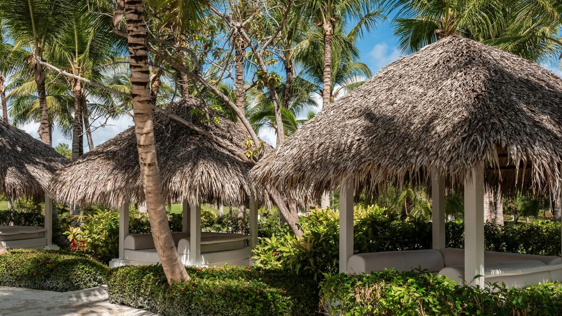 Zel Punta Cana