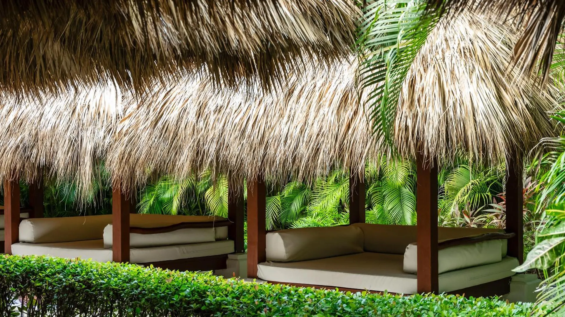Zel Punta Cana 5*,  Dominikanische Republik